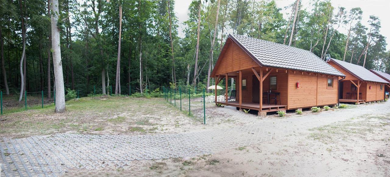 Lodge Oaza